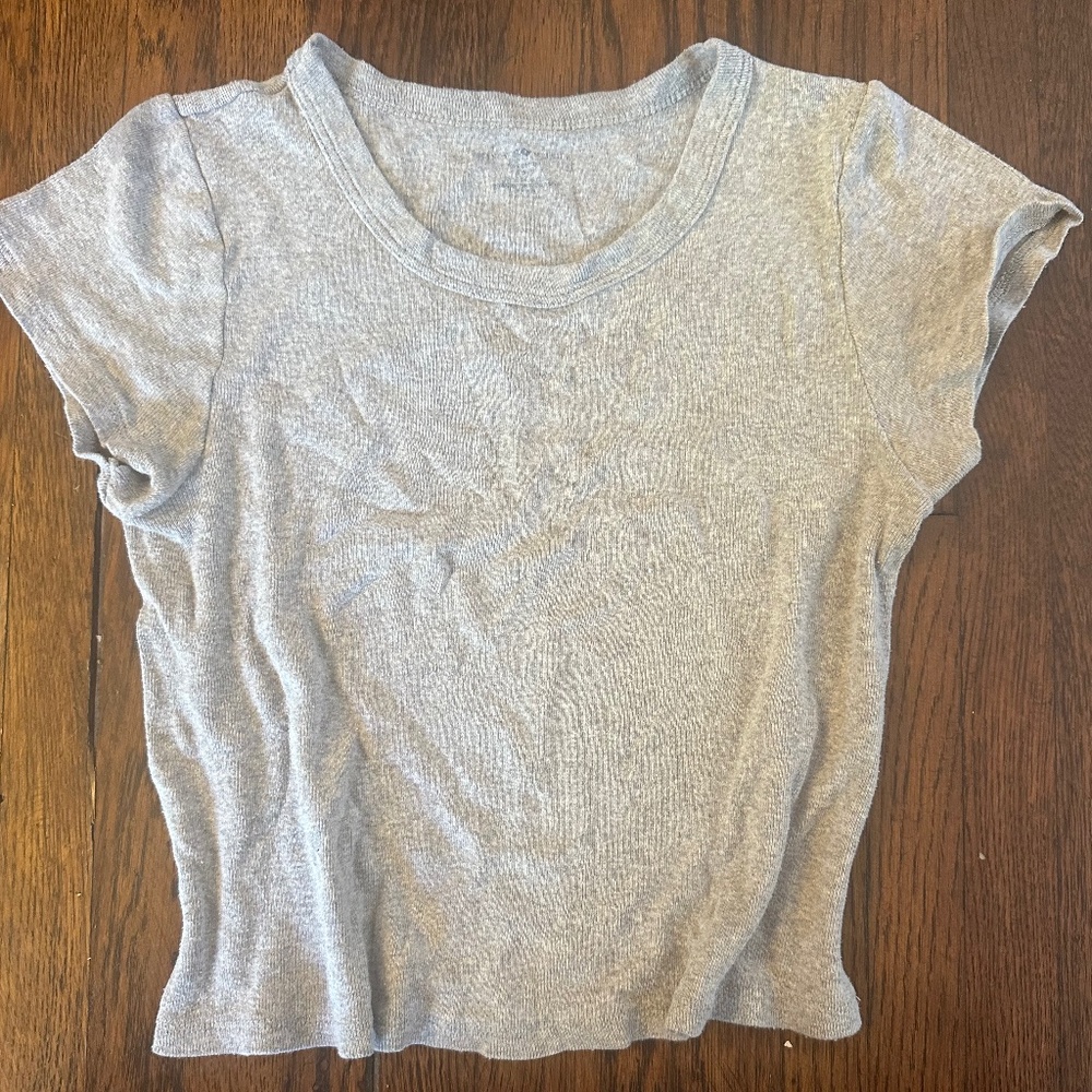 Brandy Melville Gray Crop Top
